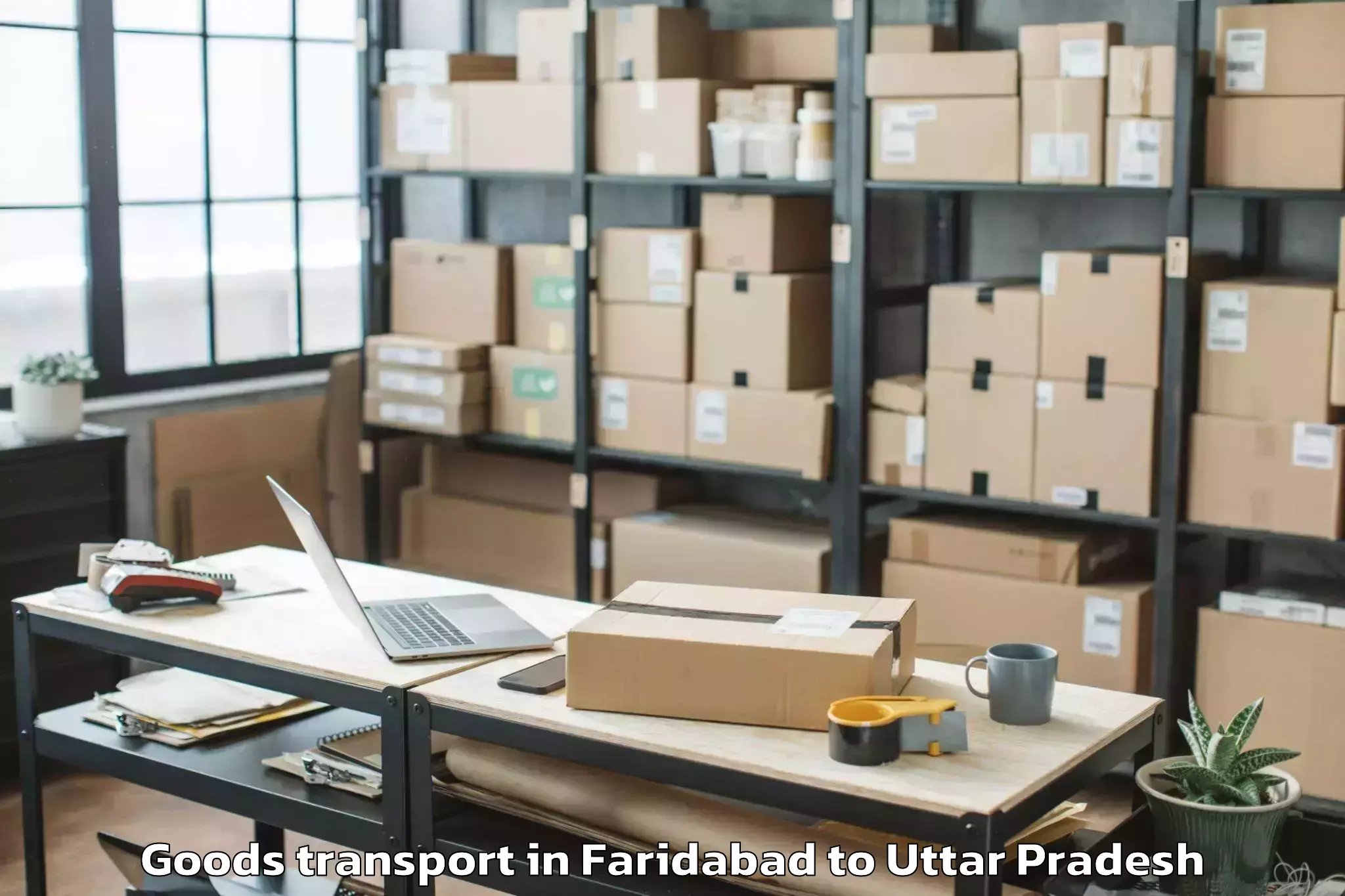 Professional Faridabad to Pukhrayan Goods Transport